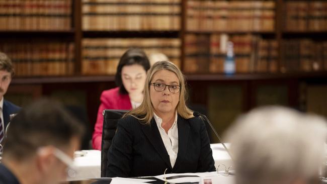 Jenny West gives evidence before the parliamentary committee. Picture: NCA NewsWire / Nikki Short