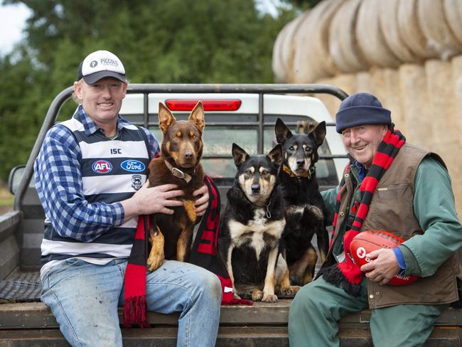 AFL COUNTRY GAME WRAP COVERTwo farmers, one Geelong supporter, one Essendon supporter. PICTURED: L-R GEELONG FARMER: Simon Morris kelpie's Mate, Tess and Holly and ESSENDON FARMER: Bernie Darcy PICTURE: ZOE PHILLIPS