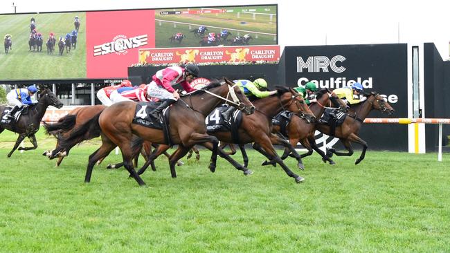 Showmanship (pink silks) flashed home for fourth in his return at Caulfield on Saturday. Picture: Brett Holburt/Racing Photos via Getty Images