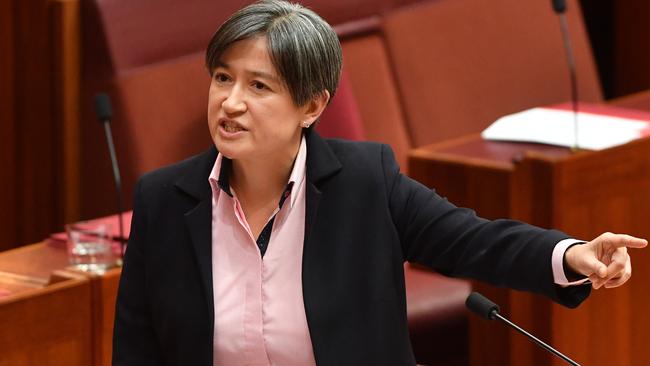 Penny Wong in the Senate yesterday, where she warned that the postal plebiscite would expose same-sex couples to ‘hatred’.