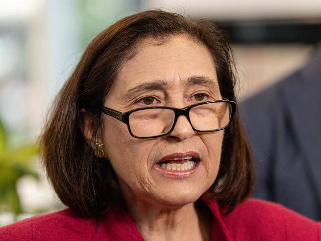 Energy Minister Lily D’Ambrosio said the Aussie-made discount was about making it cheaper to install “quality local products while supporting local jobs”. Picture: NewsWire / Diego Fedele