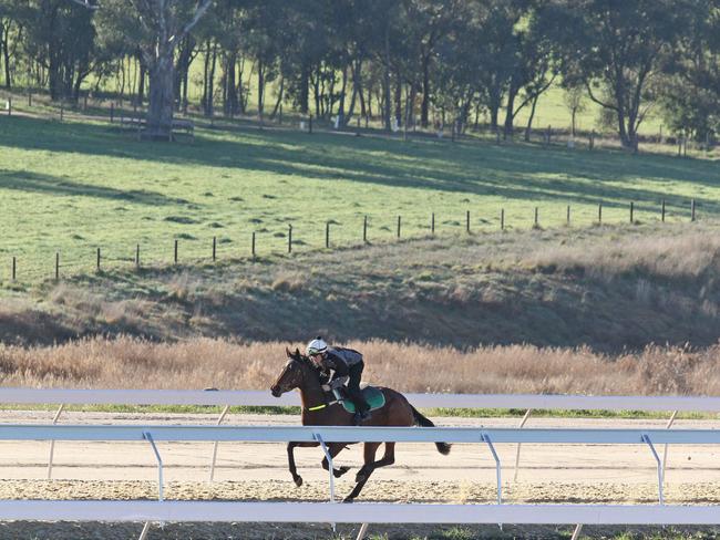 The Lindsay Park training facility near Euroa in country Victoria.