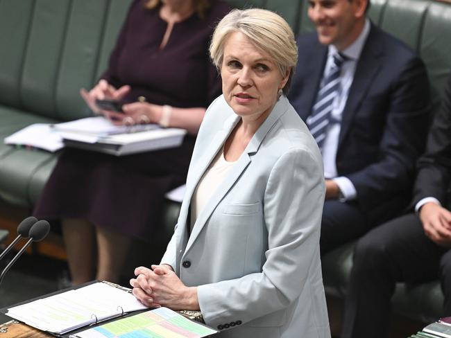 CANBERRA, Australia - NewsWire Photos - September 10, 2024: Minister for Environment and Water Tanya Plibersek during Question Time at Parliament House in Canberra. Picture: NewsWire / Martin Ollman