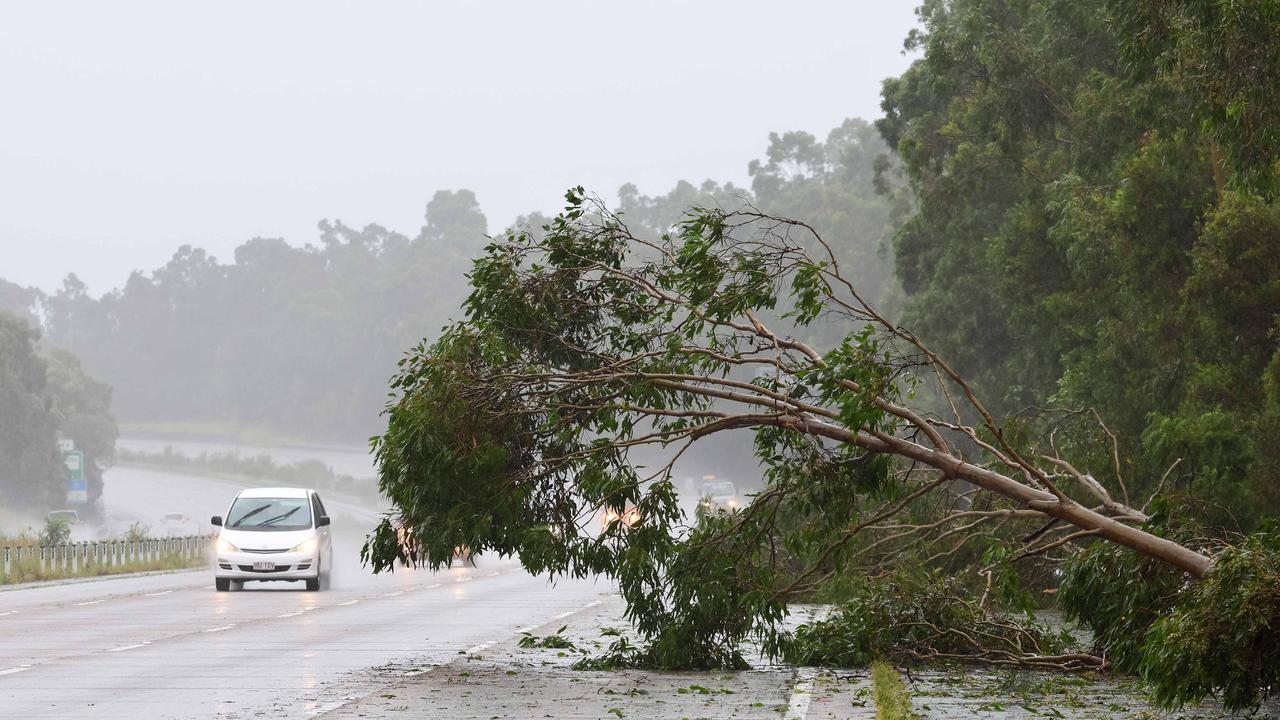 Fallen trees were left in the wake of now ex-Tropical Cyclone Alfred, including this one blocking lanes of the M1 near Pimpama. Picture: NewsWire/Tertius Pickard