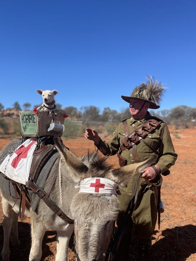 Mick Batchelor with his donkey Plonkey and dog Winnie, who re-enact the Horrie the Wog Dog story from World War I in demonstrations. Photo: Laura Hooper. Mick Batchelor story.