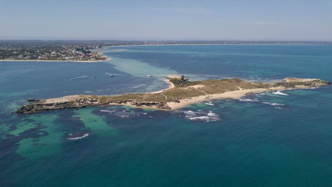 Penguin Island off Rockingham in Perth's south. Photo: Facebook