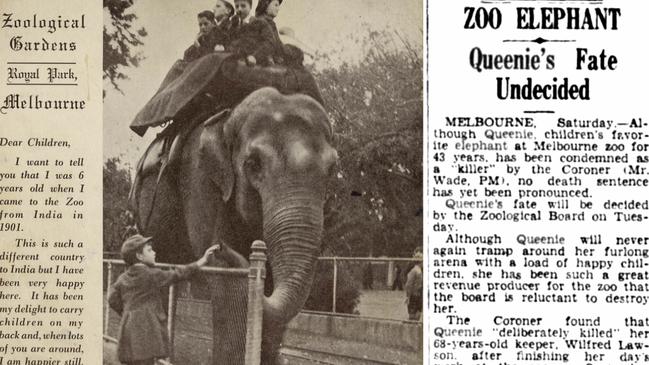 A zoo postcard with note from Queenie and a 1944 article about her fate. Pictures: Museums Victoria, Trove