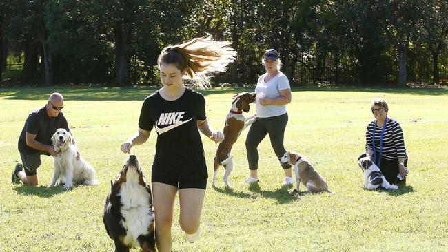 A dedicated off-leash facility is proposed at the site.