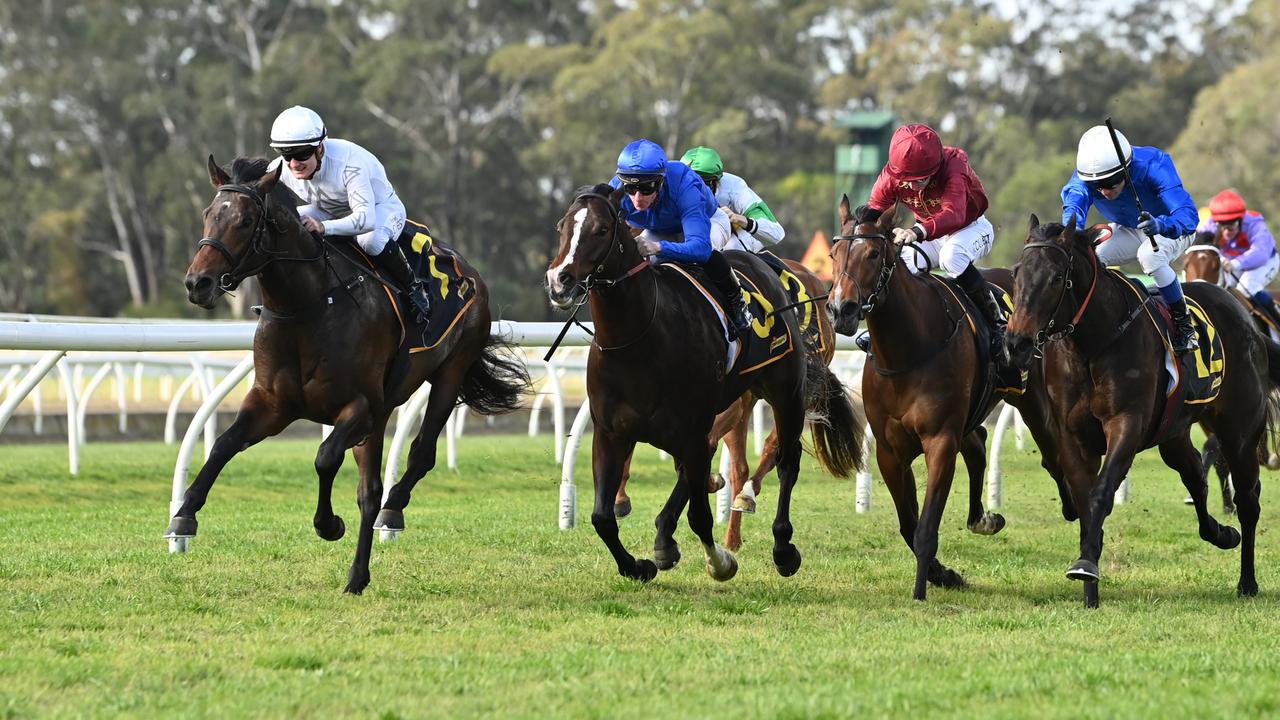 Iron Hawk (white) finishes best to overhaul, from the inside, Alpine Ski, Qatars Choice and Silmarillion. Picture: Bradley Photos