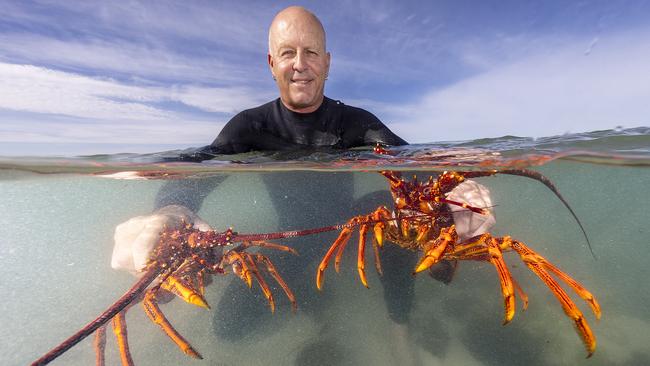 Third-generation fisherman Jeremy Ievins with sample lobsters in Port MacDonnell, South Australia. Picture: Alex Coppel