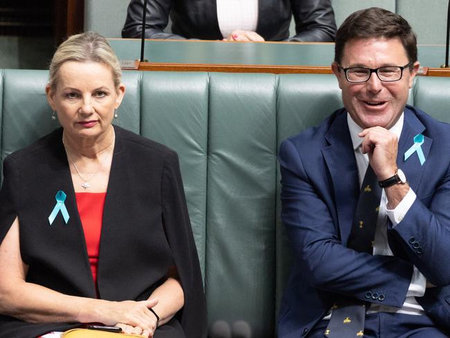 CANBERRA, AUSTRALIA - NewsWire Photos FEBRUARY 7, 2023: Sussan Ley with David Littleproud during Question Time in the House of Representatives in Parliament House in Canberra.Picture: NCA NewsWire / Gary Ramage