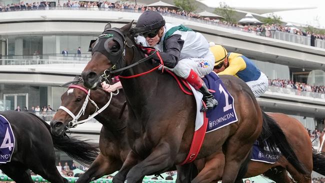 Mr Brightside is likely to find himself in Hong Kong at the end of an autumn campaign that will start next month. Picture: Racing Photos via Getty Images