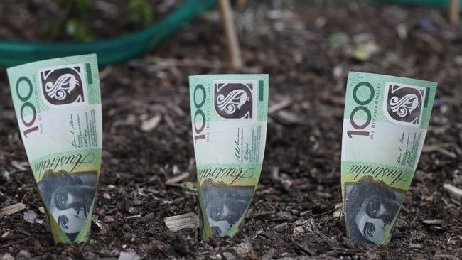 Older Australians’ money “gardens” need careful tending, an expert points out.