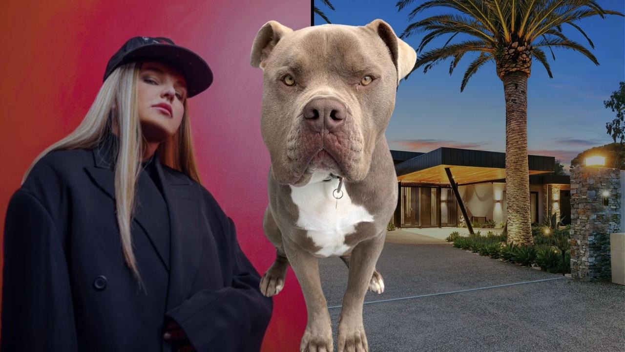 Tones and I charged over deadly dog attack
