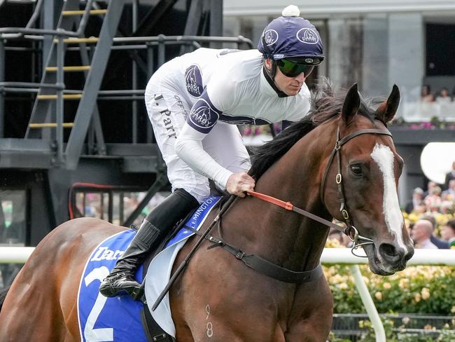 Overpass on the way to the barriers prior to the running of Darley Champions Sprint at Flemington Racecourse on November 09, 2024 in Flemington, Australia. (Photo by George Sal/Racing Photos via Getty Images)