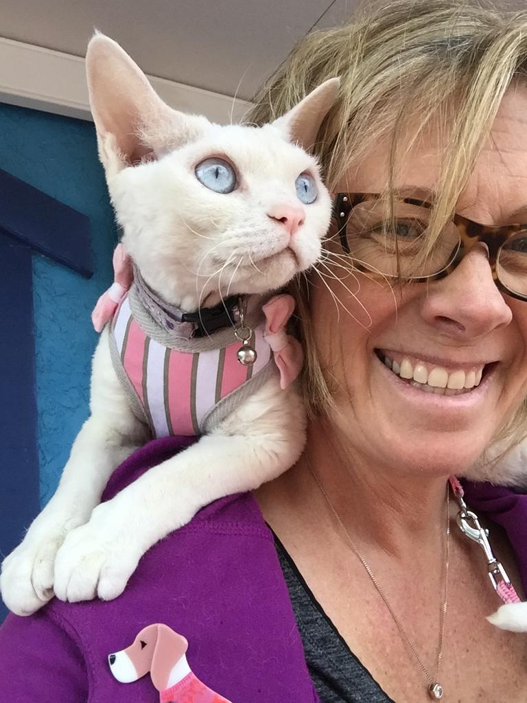 Kris Hooley and Millie, winner of Qld's coolest cat competition.