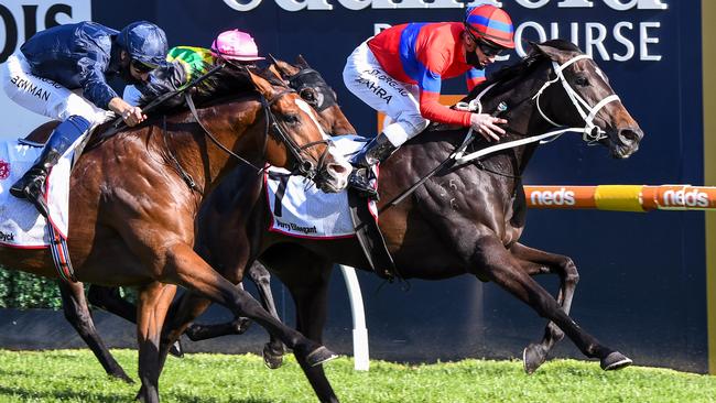 Verry Elleegant, ridden by Mark Zahra wins the Caulfield Cup from Anthony Van Dyck. Photo: Pat Scala/Racing Photos via Getty Images