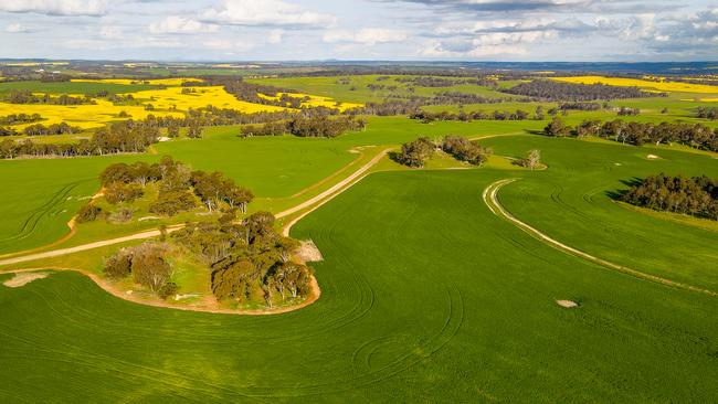 The 8554ha Cherylton Farms operation near Kojonup in WA was purchased by prominent Victorian farming family the Patersons and Canadian investor Fiera Comox, via their Excel Farming partnership.