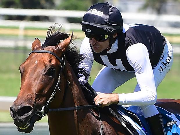 Garibaldi winning at Doomben. Picture: Trackside Photography
