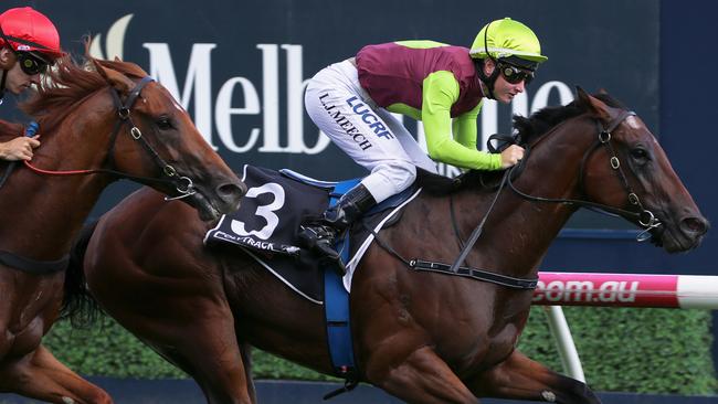 Bons Away will fly the flag for locals in the Schillaci Stakes. Pic: AAP