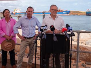 Albanese mocks Coalition PMs over visits to WA