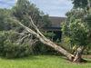 ‘Didn’t hear any crash’: Couple’s Christmas Day shock after freak storm