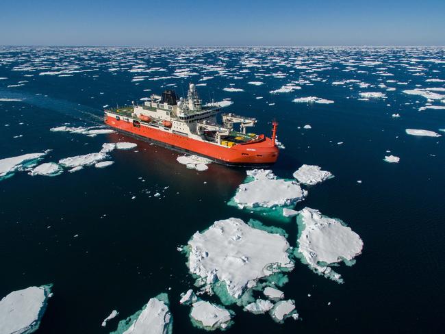 RSV Nuyina makes its way through the pack ice. Picture: Pete Harmsen/AAD