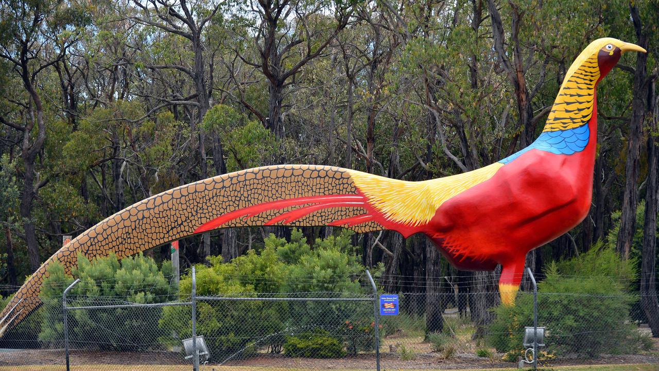Gumbuya Park and the giant Golden Pheasant statue at the parks entrance.