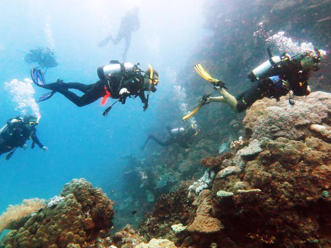 tourism jobs great barrier reef