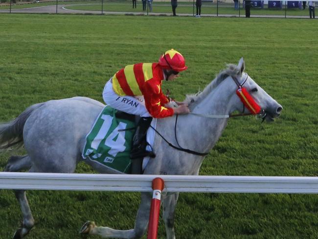 NEWCASTLE, AUSTRALIA - NOVEMBER 13: Brock Ryan on Much Much Better wins race 10 the Hunter Valley Premium Meats T-bone Steaks Benchmark 88 Handicap during Sydney Racing at Newcastle Racecourse on November 13, 2021 in Newcastle, Australia. (Photo by Mark Evans/Getty Images)