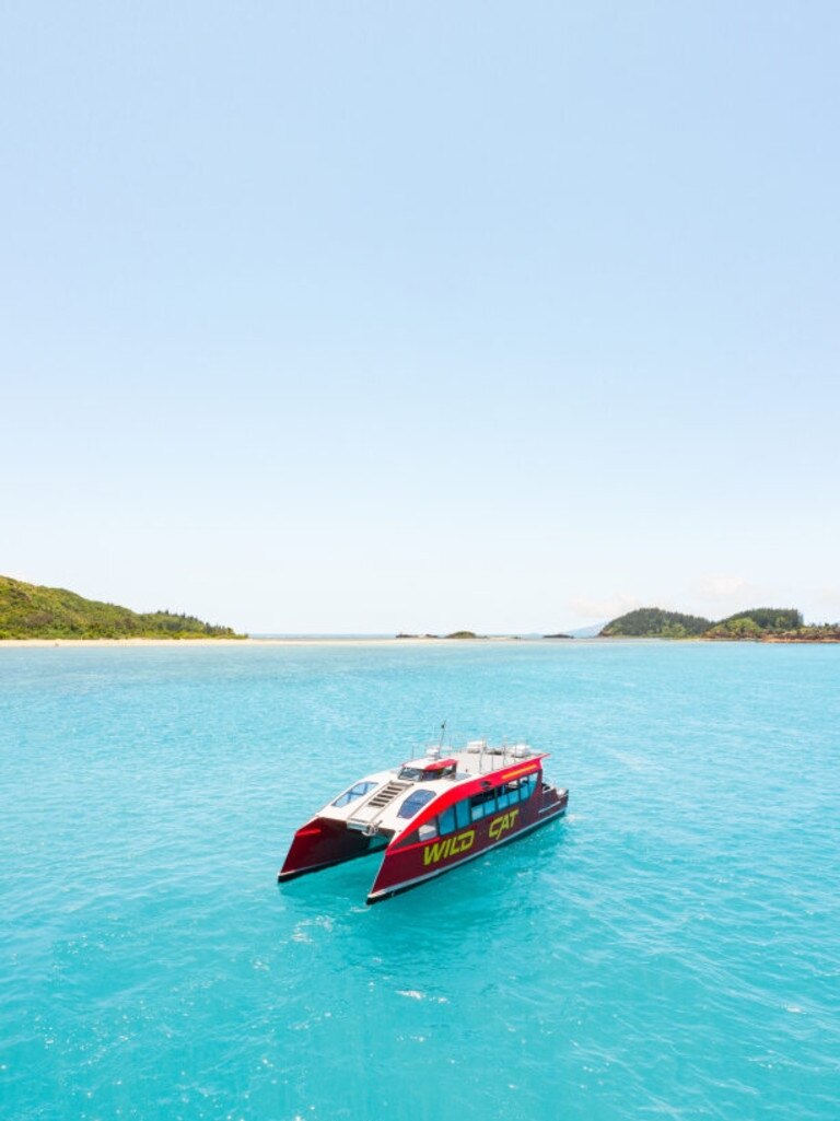 Wildcat Mackay took out gold for the Best of Queensland Tour category at the 2023 Mackay Isaac Region Tourism Awards. Picture: Contributed