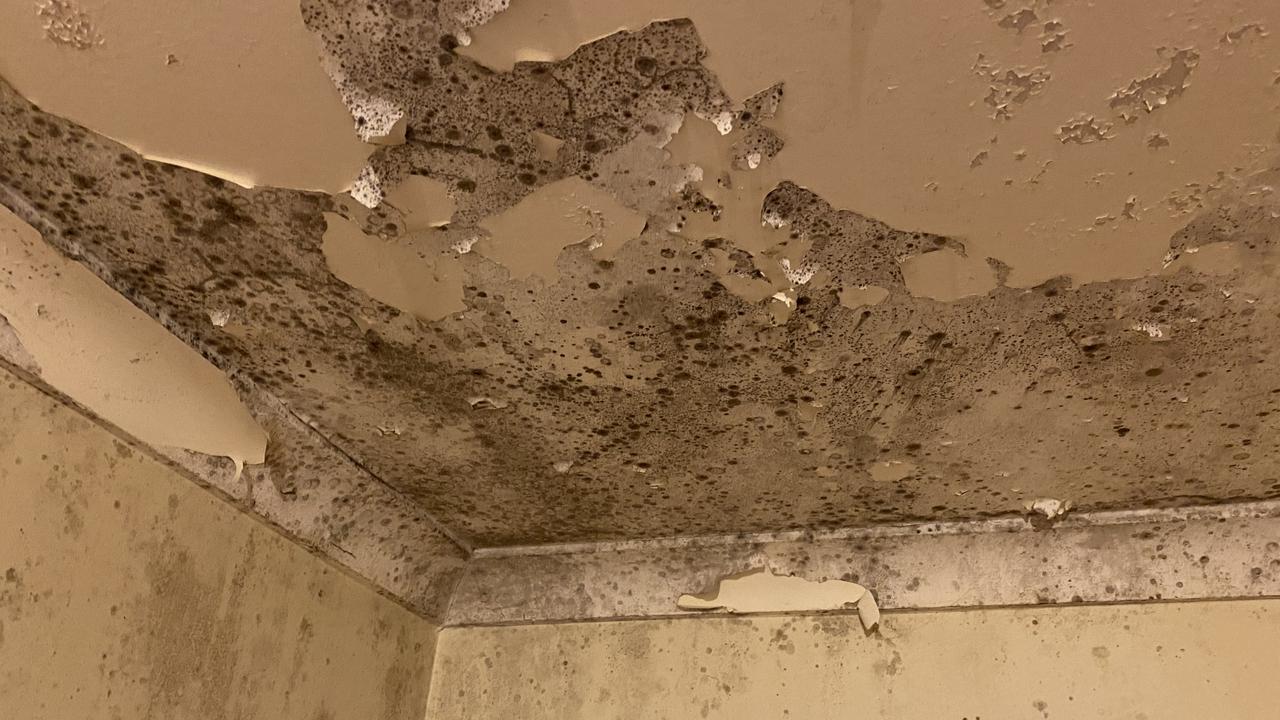 A housing trust unit covered in mould and featured by The Advertiser in 2021. Picture: Kathryn Bermingham.