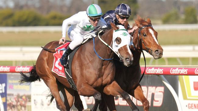 Pure Deal will attempt to complete a winning hat-trick at Cranbourne on Thursday. Picture: Racing Photos via Getty Images