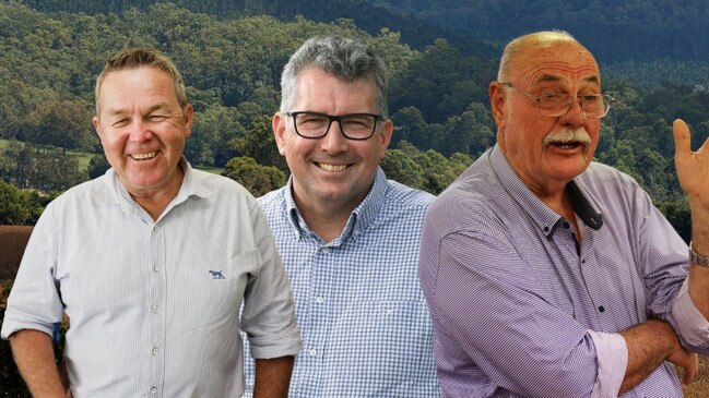 QLD candidates thumbnail canva art