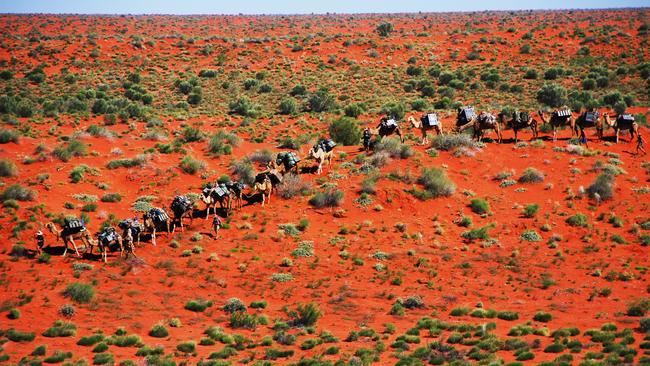 Andrew Harper leads a trek into the outback with his team of camels.