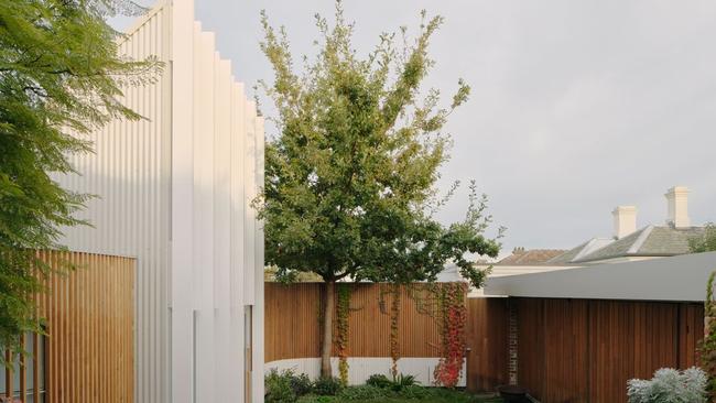 A backyard home in Hawthorn, by Agius Scorpo Architects. Photography: Tom Ross.