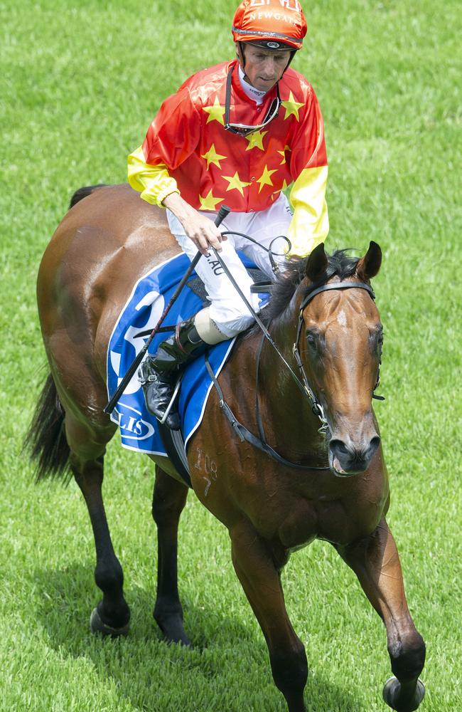 Rulership, ridden by Nash Rawiller, returns to scale after winning race one.