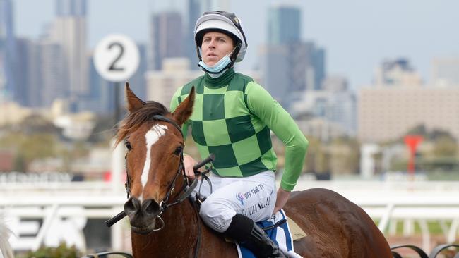 Damian Lane brings Turaath back to scale. Picture: Racing Photos via Getty Images