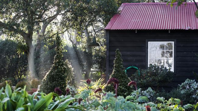 Landscape designer Michael Cooke on the beauty of letting your garden