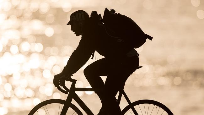 A bicycle commuter makes his way on a path along the Rhine river on February 12, 2018 in Mainz.  / AFP PHOTO / dpa / Fabian Sommer / Germany OUT