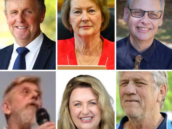 Six mayoral hopefuls and 20 divisional candidates are vying for office in Ipswich.