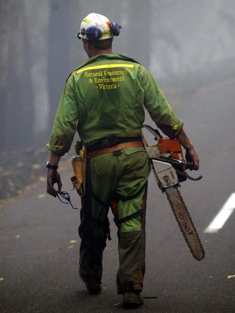20/01/2003. A DSE firefighter with a chainsaw on Mt Bufflalo. North East Victoria bushfires. Digital Image.