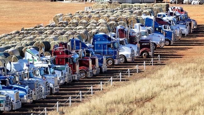 Aussie Hay Runners and other charities are delivering truckloads of donated hay to drought-stricken farmers across South Australia. Picture: Chris Woodman