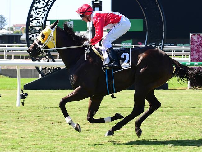 Papa Jo proves too slick for his rivals over the 1000m journey. Picture: Trackside Phtography