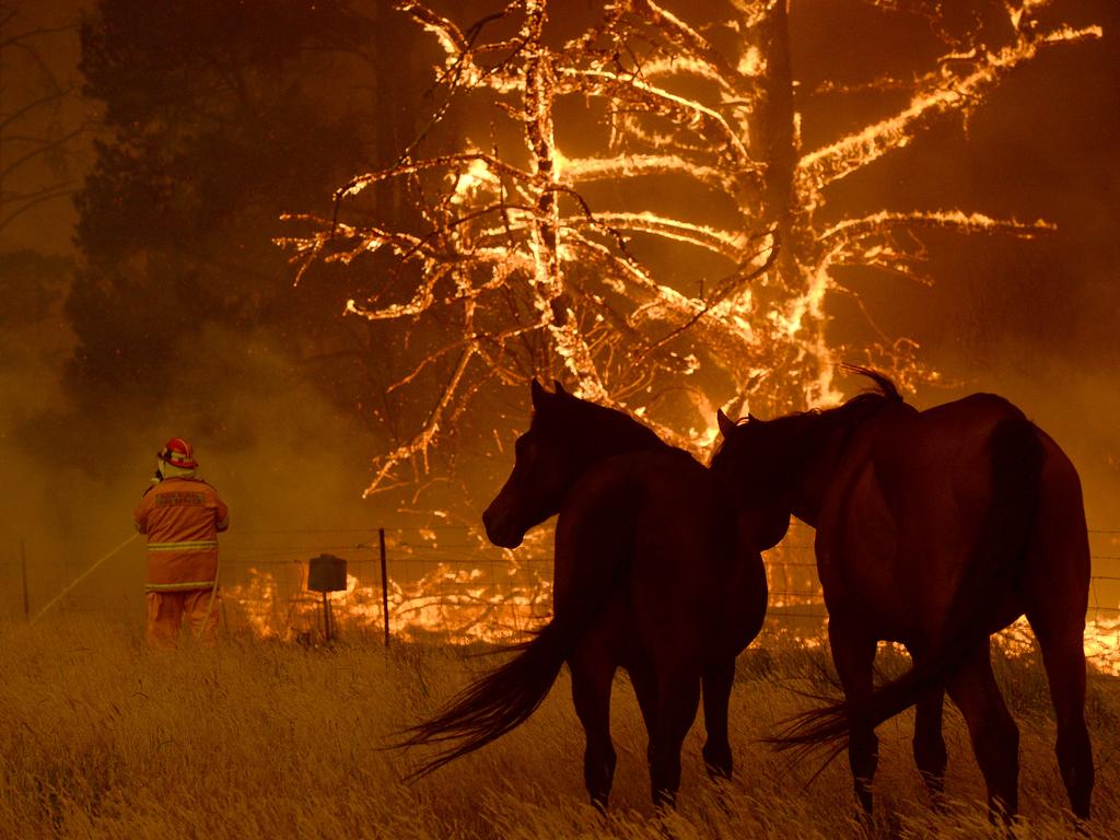 Fire approaches the property of the Bilpin Fruit Bowl. Picture: Jeremy Piper