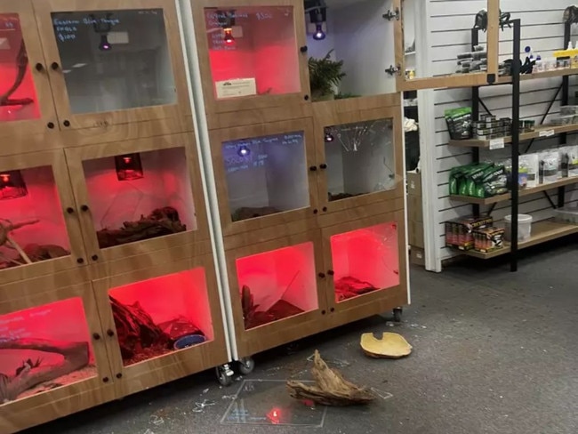 A 24-year-old man was charged with burglary and theft following a break in and theft of about $30,000 worth of reptiles from Totally Reptiles Central Vic at Kangaroo Flat.