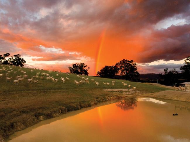 Beyond Reasonable Drought. A rainbow at sunset illuminates a property near Tallarook. Near Tallarook, Victoria, 2007, photographer Joseph Feil.