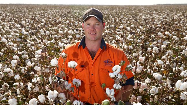 Fields of gold: John Durham at the TIA-CREF-owned Tubbo Irrigation near Darlington Point in NSW.