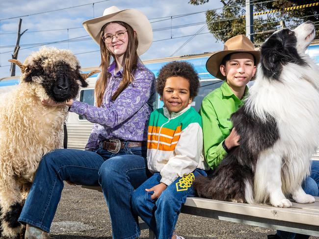 Royal Melbourne Show 2024 is launching tickets in collaboration with Metro Trains Melbourne. Taylor Kain (15), Hudson Mutepfa (6) and Jasper Judd (14) are joined by Betty (sheep) and Nitro (dog). Picture: Jake Nowakowski