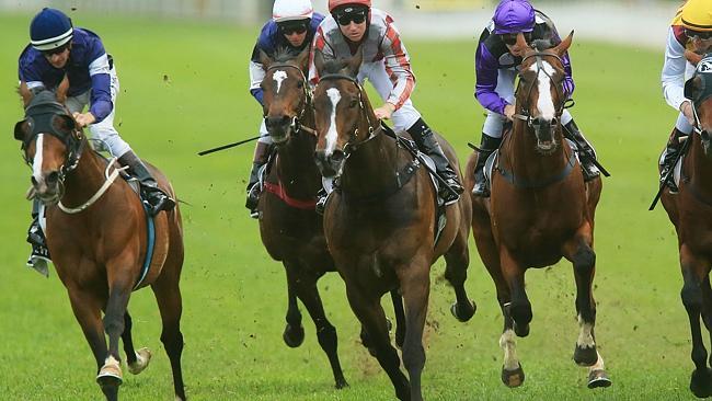 Seville (left), ridden by Hugh Bowman, will carry the No. 12 saddlecloth. Picture: Mark Evans